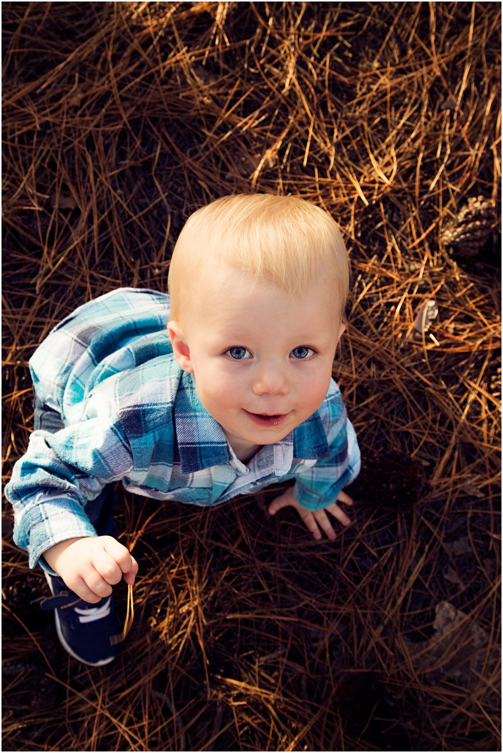 young-boy-exploring-the-ground-for-pine-cones-during-a-gold-coast-family-short-story-photography-session-Mermaid-Waters