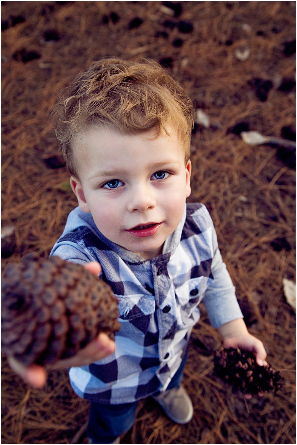 little-boy-finding-and-sharing-pine-cones-during-his-family-short-story-telling-photography-session