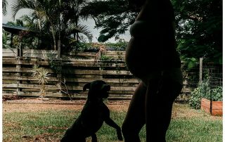 Pregnant-mama-playing-with puppy-in-the-back-yard-gold-coast-maternity-photography
