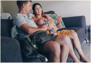 dog-puts-head-on-humans-leg-and-rests-as new-mum-and-dad-snuggle-with-newborn-son-gold-coast-family-photography