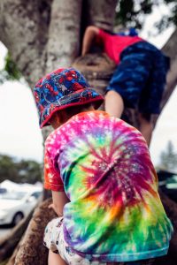 two-brothers-climbing-trees-Pottsville-Family-documentary-photography