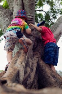 two-brothers-climbing-trees-Pottsville-Family-documentary-photography