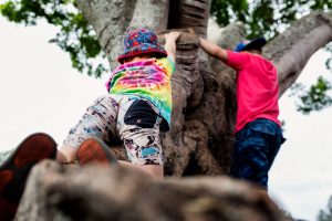 two-boys-climbing-a-tree-as-part-of-a-day-in-the-life-photography-gold-coast-and-surrounds
