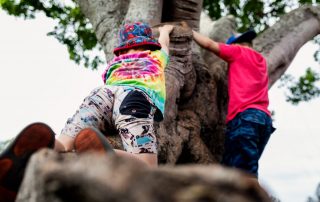 two-boys-climbing-a-tree-as-part-of-a-day-in-the-life-photography-gold-coast-and-surrounds