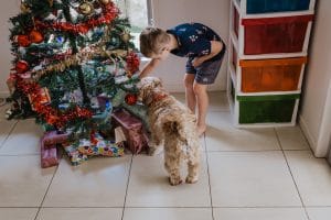 a young boy shows his pet dog the present under the tree and in particular the dog present