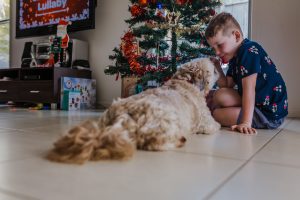 a boy and his dog excited sitting in front of the Christmas tree with all the present underneath