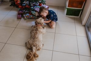 a boy cuddles his dog as they sit at the foot of the xmas tree